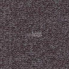 Ковролин Radici Trotter Fumo 9477 фото 1 | FLOORDEALER